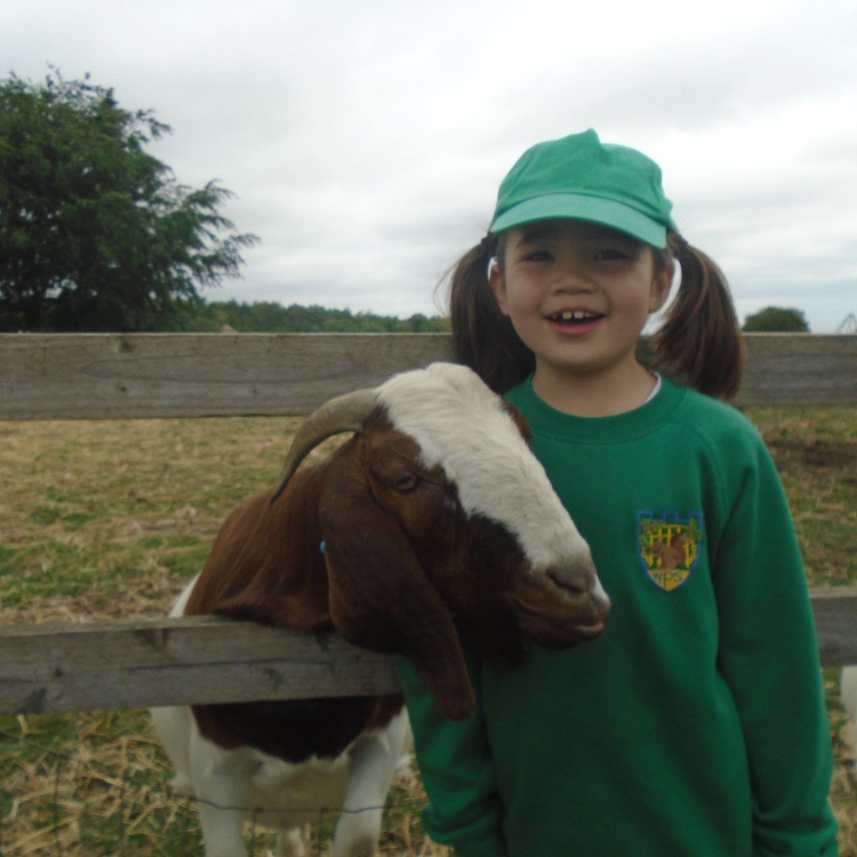 Warwick Preparatory School Year 2 Visit Cotswold Farm Park